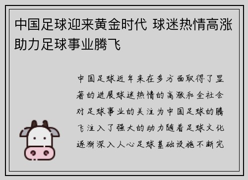 中国足球迎来黄金时代 球迷热情高涨助力足球事业腾飞